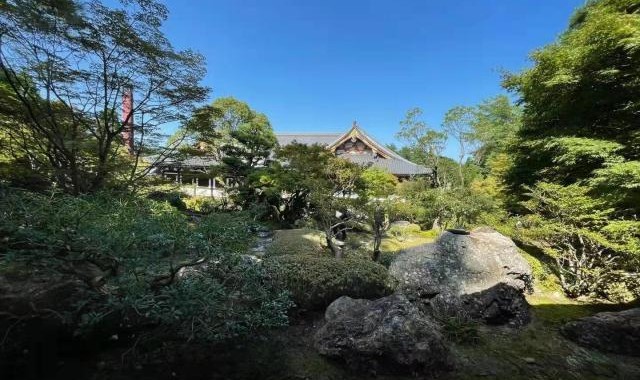 日本阿含･桐山杯许家元首度加冕，井山事不过“五”